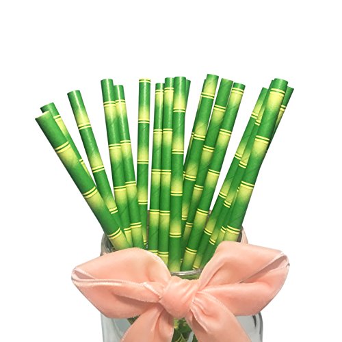100 Stück Grüne Bambus Papier Straws, 100% Biologisch Abbaubar Einweg Strohhalme Green Bamboo Trinkhalme für Party, Hochzeiten und Anlässe von BOFA Eco Tableware