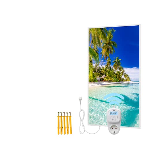 BR Bringer Bild Infrarotheizung mit Rahmen - Bildheizung mit UV Druck - 60x100x1,8cm - Palmenstrand, Malediven von BR Bringer