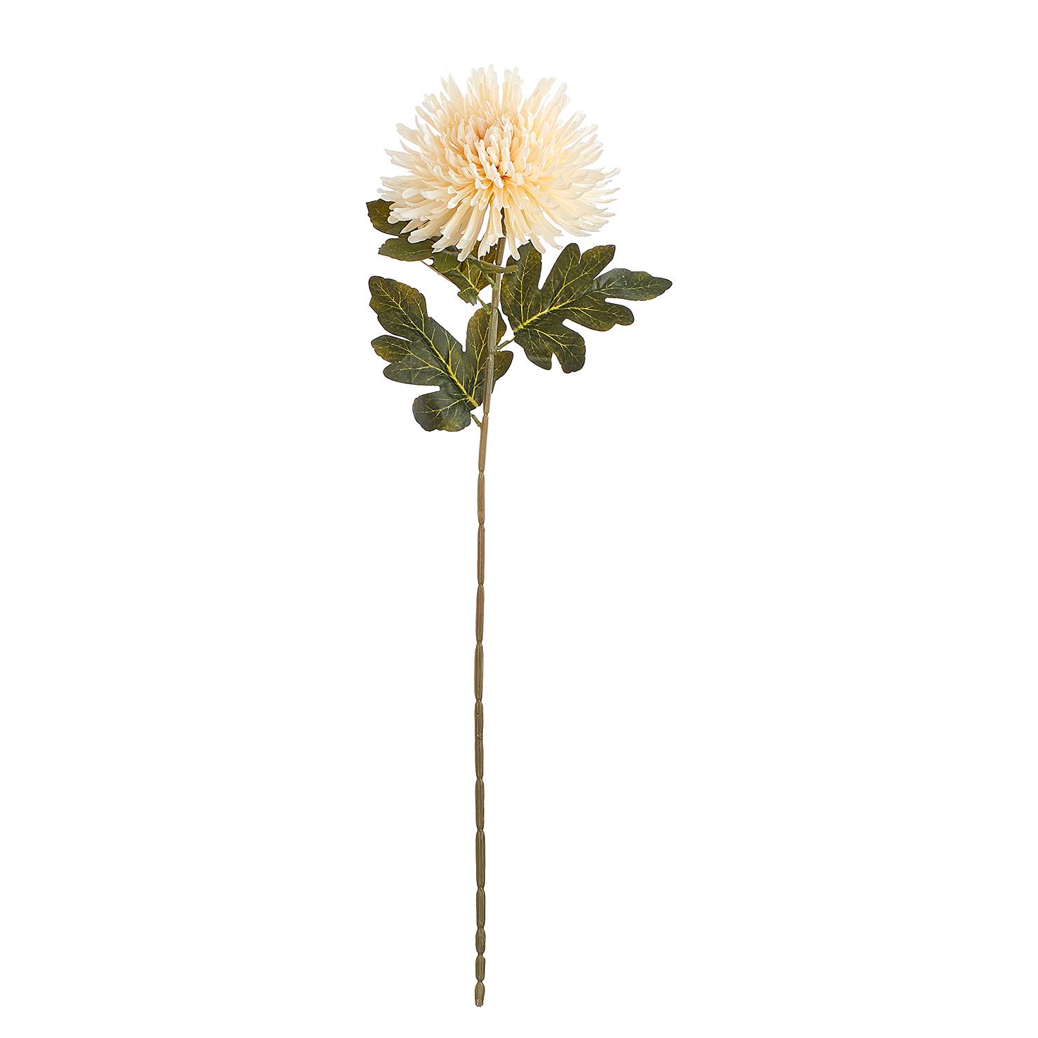 Chrysantheme FLORISTA von BUTLERS