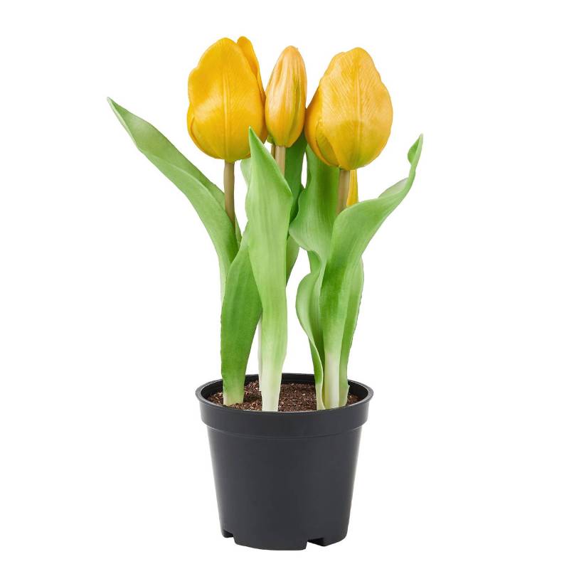 Tulpen Real Touch Topf FLORISTA von BUTLERS