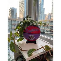 Mini Basketball Planter | Toronto Raptors von BaeLoveCreations