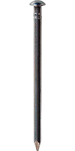 BÄR Alunägel mit Linsenkopf Abmessung 3,5 x 50 mm, 500 Stück von BÄR