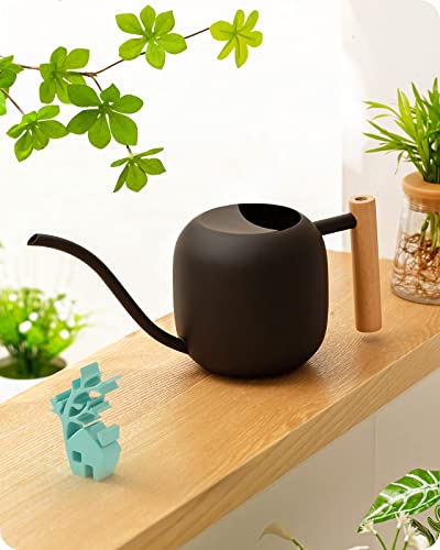 Baffect Gießkanne für den Innenbereich, 1,2 l, Edelstahl, Haus-Bonsai-Gießkanne mit Holzgriff, Metall-Garten-Gießkanne mit langem Ausguss für kleine Topfpflanzen und Blumen (schwarz) von Baffect