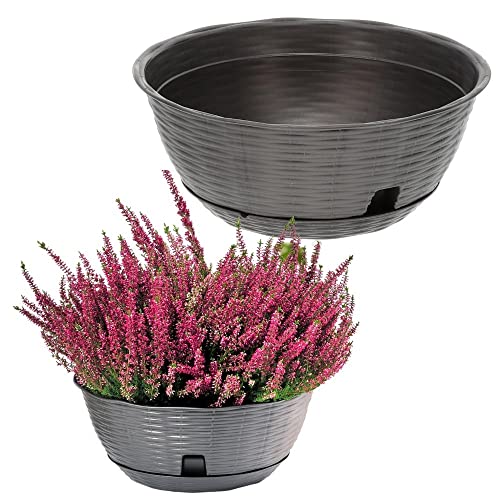 Bama Spa Pflanzschale Blumenschale Untersetzer Rattan Optik Kunststoff Friedhof Garten Anthrazit 20 cm von bama