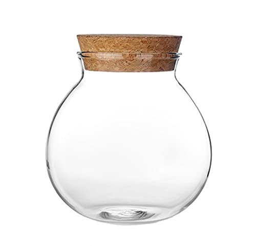 1 Stück 0,5 l Klarglas versiegelte Gläser mit Korkverschluss nachfüllbare leere Teeflaschen Lebensmittel Tee Vorratsdose für Süßigkeiten Gewürze Bohnennuss und Kaffee von Bamboopack