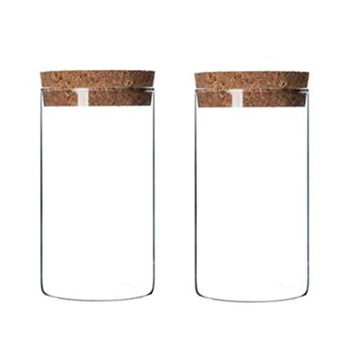 Bamboopack Frischhaltedosen aus transparentem Glas, mit Korkdeckel, ideal für die Aufbewahrung von Süßigkeiten, Snacks, Reis, trockenen Lebensmitteln, Zucker, Kaffee, Mehl und mehr, 300 ml, 2 Stück von Bamboopack