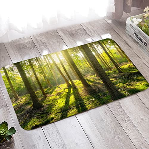 Banemi Fussmatte Aussen, Kurzflor Teppich 50X80cm Grün Braun Stamm Sonnenlicht für Wohnzimmer Schlafzimmer von Banemi