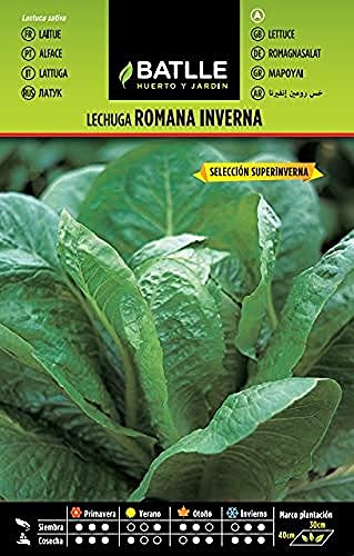 Batlle Gemüsesamen - Kopfsalat Inverna Ausw. Super Inverna (4800 Samen) von Semillas Batlle
