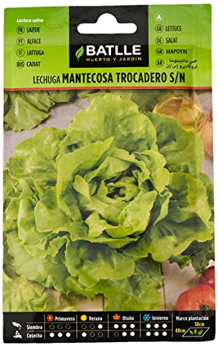 Batlle Gemüsesamen - Kopfsalat Trocadero (5600 Samen) von Semillas Batlle