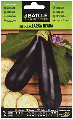Batlle Gemüsesamen - Runde Aubergine Black Beauty (190 Samen) von Semillas Batlle
