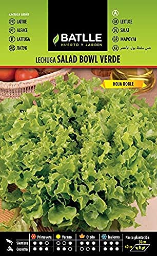 Batlle Gemüsesamen - Salat Salad Bowl Grün (5600 Samen) von Semillas Batlle
