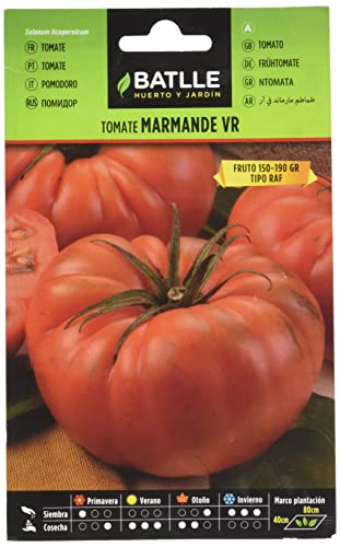 Batlle Gemüsesamen - Tomate Marmande VR (875 Samen) von Semillas Batlle