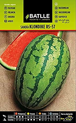 Batlle Gemüsesamen - Wassermelone Klondie RS-57 (160 Samen) von Semillas Batlle