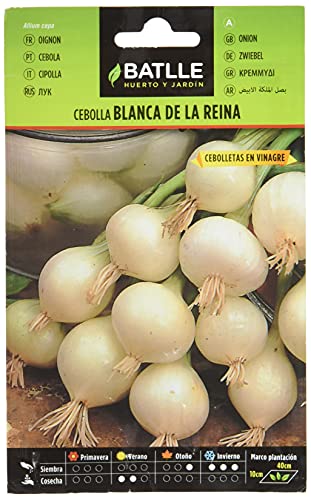 Batlle Gemüsesamen - Zwiebel weisse Königin-blanca de la Reina (Samen) von Semillas Batlle