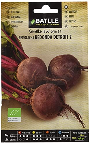 Bio Samen - Rote Beete Detroit 2 (125 Samen - Bio) von Semillas Batlle