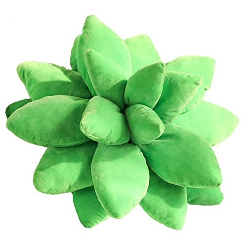Bemvp Plüsch Sukkulente Formkissen 3D Sukkulente Kissenpflanze Werfen Kissen Kreatives Wurfkissen Für Heimzimmerdekoration von Bemvp