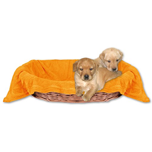 Bestlivings Tierdecke Hundedecke Kuscheldecke Haustierdecke, kuschelig weich in vielen erhältlich (90x140 cm/orange - apricot) von Bestlivings
