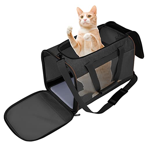 Bibykivn Katzentransportbox, Hundetasche Tragetasche für Katze kleine Hund, Faltbare katzentasche transporttasche für Haustiere im Auto Flugzeug oder in der Bahn (Schwarz) von Bibykivn
