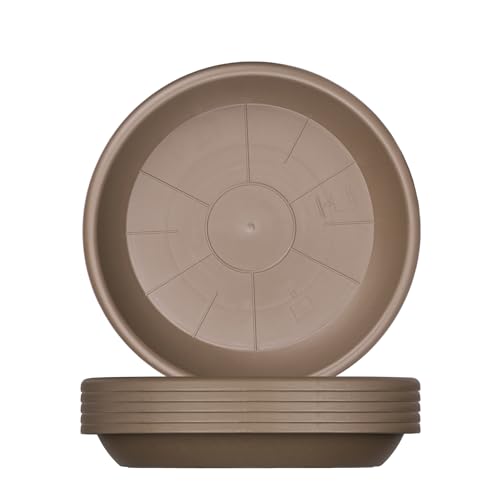 BigDean 6x Blumentopf Untersetzer Ø 17 cm Farbe Taupe Kunststoff Blumenuntersetzer Blumentopfuntersetzer passend zu Ø 18 cm Blumentöpfen von BigDean