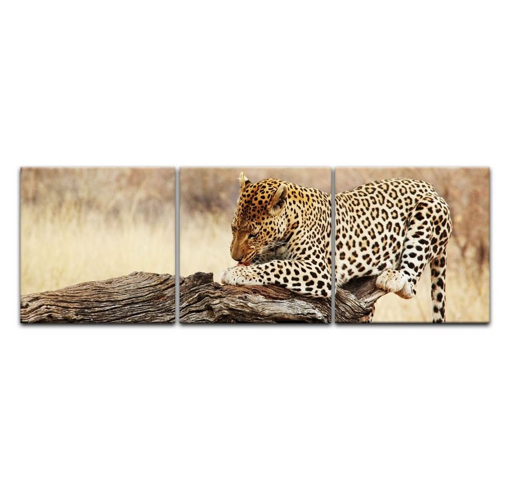 Bilderdepot24 Leinwandbild Leopard II, Tiere von Bilderdepot24