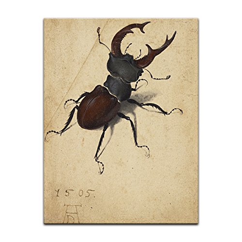 Kunstdruck Poster - Albrecht Dürer Hirschkäfer 40x60 cm ca. A2 - Alte Meister Bild ohne Rahmen von Bilderdepot24