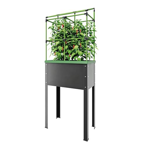 Bio Green Metall-Hochbeet City Jungle Heidelberg für Innen und Außen | Bewässerungssystem und Rankgitter integriert | Pflanzkübel für Gemüse, Kräuter und Blumen | B 62 x T 32 x H 160 cm von Bio Green