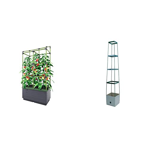 Bio Green Pflanzkübel CITYJUNGLE | Hochbeet für Balkon und Terrasse | 62 x 33 x 128 cm & Pflanzen-Aufzucht-Turm „Maxitom“ mit Rankhilfe und 2 Liter Wasserspeicher | 16 Liter | 150 cm | anthrazit von Bio Green
