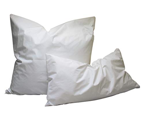 Biona Allergiker Kissen, Inlett aus AllergEvo (Sofa, Schlaf) (Mit Reißverschluss, 80 x 80 cm, 1000 g) von Biona