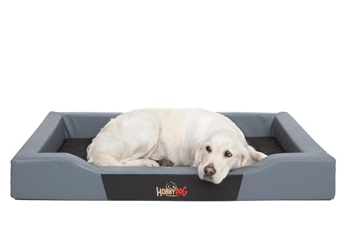 Bjird Hundebett - Hundekorb für kleine mittelgroße & große Hunde - Hundekissen - Hundesofa aus Kunstleder - Bezug abnehmbar und waschbar - Deluxe - Größe: M - Grau von Bjird