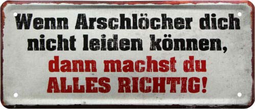 WOGEKA ART Retro Blechschild - Wenn Arschlöcher Dich Nicht Leiden können - witziger Spruch als Geschenk-Idee Geburtstag Weihnachten Dekoration 28x12 cm Vintage-Design Metall 1971 von WOGEKA ART