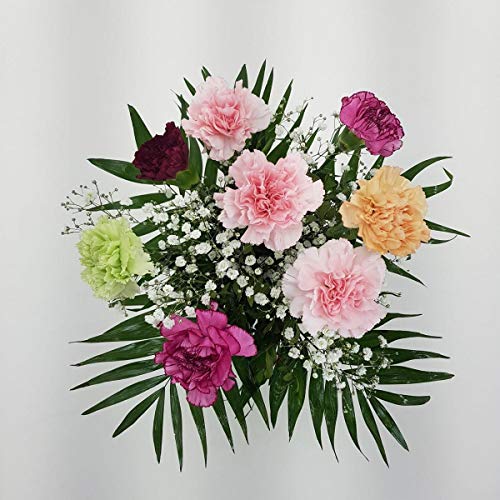 ZUSTELLUNG bis zum 4.04. Blumenstrauß -klassischer Nelkentraum- mit kostenloser Glückwunschkarte/handgeschrieben von Blumen-Senf