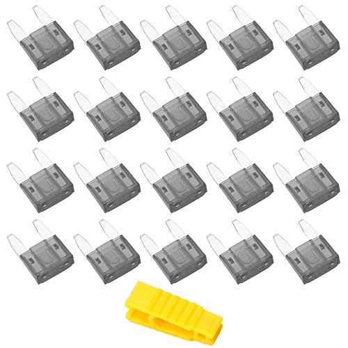 20 Stück 2A Auto Sicherungen Mini, Bolatus Flachsicherung Kfz Sicherungen Auto Sicherunge Stecksicherung Flachsicherungen Set mit 1 Sicherungszieher von Bolatus