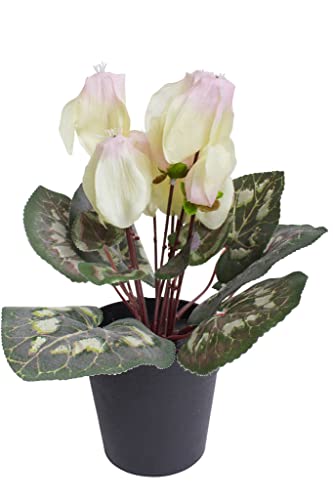 künstliches Alpenveilchen (Cyclamen) im schwarzen Kunststofftopf (Creme-pink) von Botanic-Haus