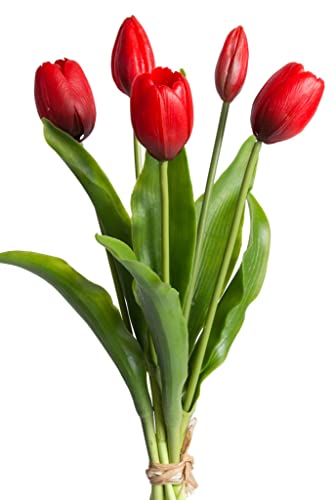 Botanic-Haus künstliches Tulpenbündel Holland mit 3 Tulpen und 2 Tulpenknospen real Touch (rot) von Botanic-Haus