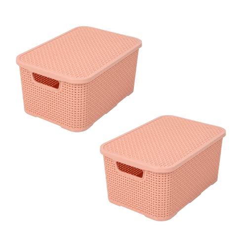 BranQ - Home essential Korb mit Deckel in Rattan Design 2er Set Grösse S 7l, BPA-frei Kunststoff PP, Lachsrosa, 28,5x19,5x12,9 cm, 2 Stk. von BranQ - Home essential