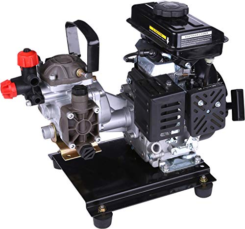 Bricoferr BFG045 Motor 80 CC 2,5 PS 4-Takt-Benzinmotor mit Sprühgruppe und maximaler Ausgangsleistung 20 l/min von Bricoferr