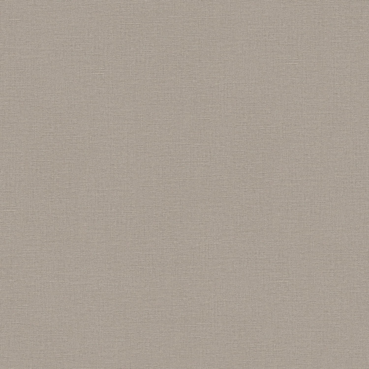Bricoflor Taupe Vliestapete Einfarbig Wohnzimmer und Büro Uni Tapete in Beige Grau Modern Skandinavische Vlies Wandtapete mit Vinyl Dezent von Bricoflor