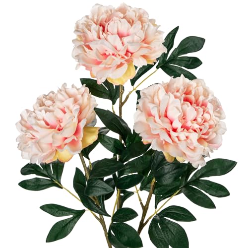 3PCS 74CM Künstliche Pfingstrosen Stiel Kunstblumen Wie Echt, Künstliche Rosen Pfingstrosen,Vintage Künstliche Blumen Bouquet für Braut Hochzeit Home Party Blumengesteck von Briful