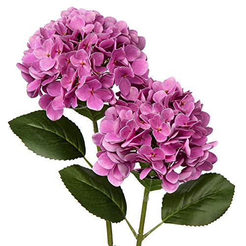 Künstliche Hortensie Blumen Real-Touch Kunstblumen Wie Echt Hydrangea Kunstzweige Blumengesteck für Bürotischen, Hotels, Rezeptionen, Wartezimmer, Esstische, Cafes Dekoration, 2 Stück von Briful