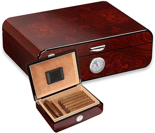 CAUSSO Zigarren-Humidor, Zigarren-Humidor-Box, Interieur Aus Spanischem Zedernholz, Zigarrenkiste Für 35 Zigarren Mit Hygrometer-Luftbefeuchter Und Trennwand B von CAUSSO