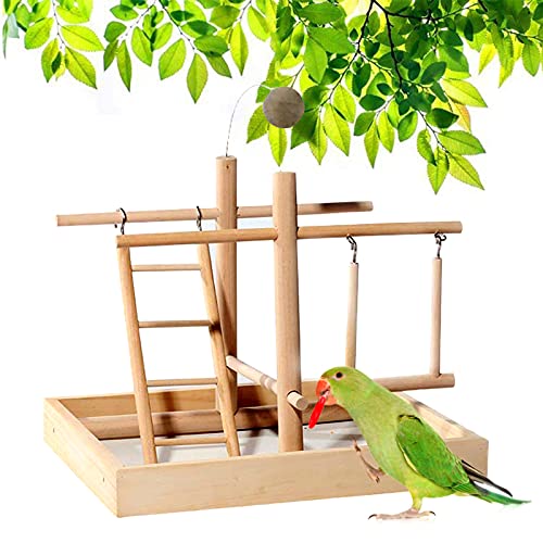 CHSEEO Nymphensittich Spielplatz Holz Barsch, mit Feeder Cups, Papagei Spielzeug Schwingen, Training Aktivitäten für Wellensittich Sittich, Parrot Intelligence Spielzeug #8 von CHSEEO