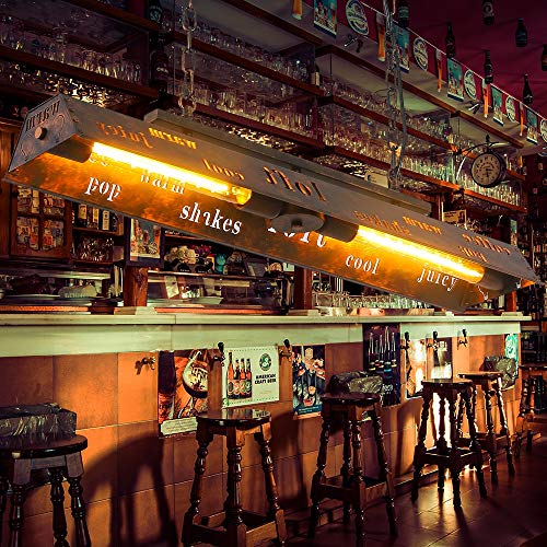 Vintage Industrie Pendellampe Vintage Hängelampe Restaurant Bar Beleuchtungssystem Pendelleuchte Wohnzimmer Schlafzimmer Dekoration Kronleuchter Deckenlampe E27 * 2 Iron Art Höhenverstellbar von COCOL