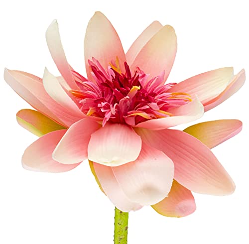 Cadofe Lotus Lotusblume Kunst Blume Kunstblume künstlich Creme Rose 82cm 12-5996-21 von Cadofe