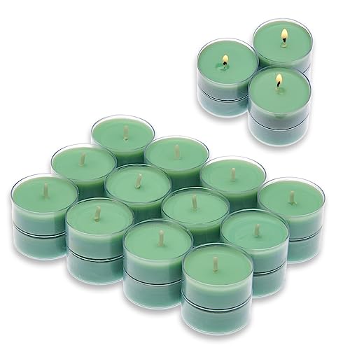 Candelo 24er Set Duft Kerzen - Duftteelichter Fresh Cotton - Teelicht in Kunststoff Hülle je 1,7 x 3,8cm - 4 Std Brenndauer - Teelichter in Mint von Candelo