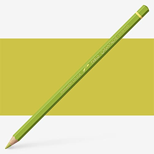 Caran d'Ache : Pablo Coloured Pencil : Light Olive 245 von Caran d'Ache