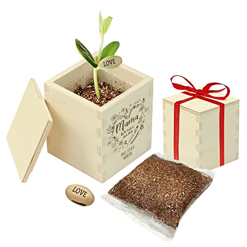 Casa Vivente Zauberbohne mit gravierter Holzbox für Mama, Personalisiert mit Namen, Pflanze mit Botschaft I Love You, Inklusive Anzuchtset von Casa Vivente