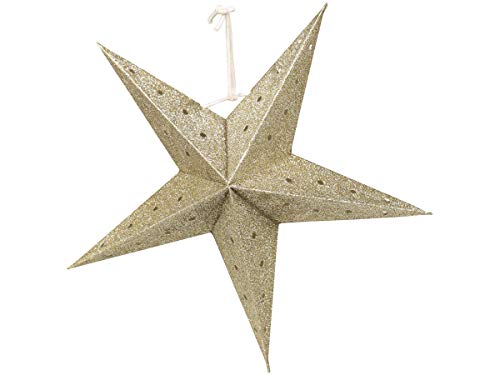 Chic Antique Wunderschöner Stern aus Papier mit Glitzer Material: 90% Papier, 10% Glitzer Maße: Ø 15cm Farbe: Moos Wunderschön zu en Kugeln und Zapfen (51881-03 Ø22cm Champagner) von Chic Antique
