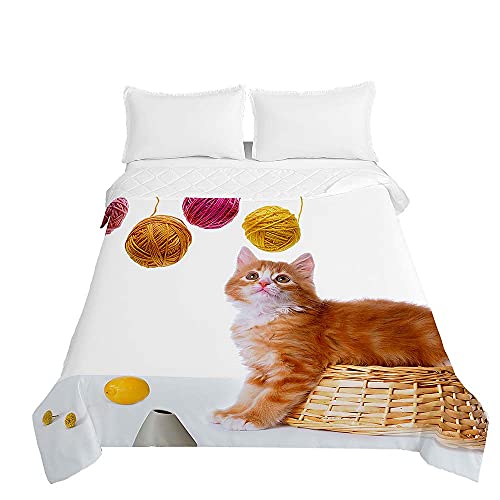 Chickwin Tagesdecken Bettüberwurf, 3D Katze Kätzchen Drucken Sommer Tagesdecke mit Prägemuster Wohndecke aus Mikrofaser Bettdecke für Einzelbett Doppelbett oder Kinder (Gelbe Katze,150x200cm) von Chickwing