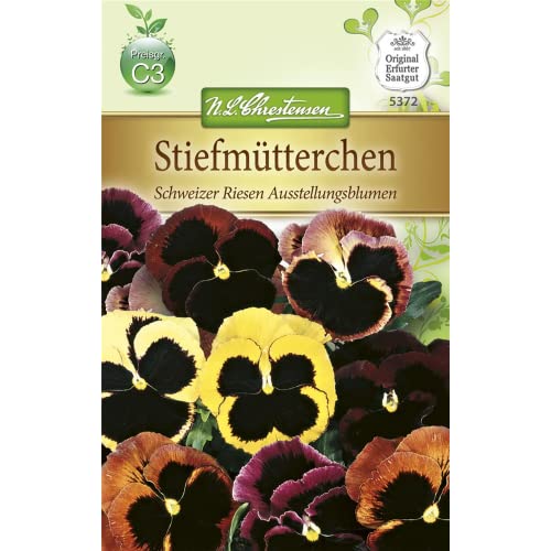 Chrestensen Stiefmütterchen 'Schweizer Riesen Ausstellungsblumen' von Chrestensen
