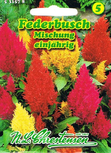 Federbusch Mischung , einjährig, Farbenfroh, dekorativ, Rabatten-, Balkon- und Topfpflanze 'Celosia argentea plumosa' von Chrestensen